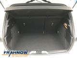 Ford Focus bei Gebrauchtwagen.expert - Abbildung (11 / 15)