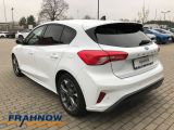 Ford Focus bei Gebrauchtwagen.expert - Abbildung (6 / 15)