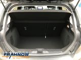 Ford Fiesta bei Gebrauchtwagen.expert - Abbildung (11 / 15)