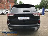 Ford Kuga bei Gebrauchtwagen.expert - Abbildung (5 / 15)
