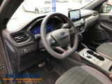 Ford Kuga bei Gebrauchtwagen.expert - Abbildung (8 / 15)
