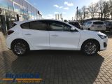 Ford Focus bei Gebrauchtwagen.expert - Abbildung (3 / 15)