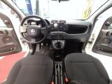 Fiat Panda bei Gebrauchtwagen.expert - Abbildung (11 / 15)