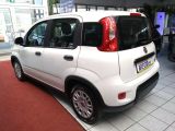 Fiat Panda bei Gebrauchtwagen.expert - Abbildung (3 / 15)