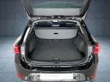 Seat Leon bei Gebrauchtwagen.expert - Abbildung (12 / 13)
