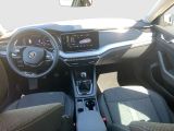 Skoda Octavia bei Gebrauchtwagen.expert - Abbildung (10 / 13)