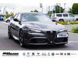 Alfa Romeo Giulia bei Gebrauchtwagen.expert - Abbildung (7 / 15)