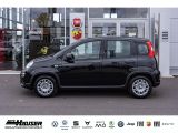 Fiat Panda bei Gebrauchtwagen.expert - Abbildung (2 / 9)