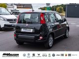 Fiat Panda bei Gebrauchtwagen.expert - Abbildung (4 / 9)
