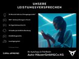 Cupra Formentor bei Gebrauchtwagen.expert - Abbildung (11 / 15) Cupra Formentor bei Gebrauchtwagen.expert - Abbildung (11 / 15)