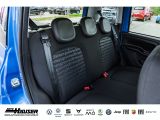 Fiat Panda bei Gebrauchtwagen.expert - Abbildung (5 / 11)