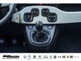 Fiat Panda bei Gebrauchtwagen.expert - Abbildung (9 / 11)