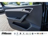 Seat Ibiza bei Gebrauchtwagen.expert - Abbildung (14 / 15)