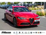 Alfa Romeo Giulia bei Gebrauchtwagen.expert - Abbildung (5 / 15)