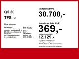 Audi Q5 bei Gebrauchtwagen.expert - Abbildung (4 / 15)