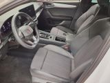 Cupra Leon bei Gebrauchtwagen.expert - Abbildung (6 / 9)