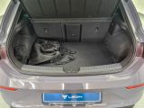 Cupra Leon bei Gebrauchtwagen.expert - Abbildung (13 / 15)