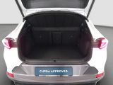Cupra Formentor bei Gebrauchtwagen.expert - Abbildung (14 / 15)