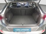 Cupra Formentor bei Gebrauchtwagen.expert - Abbildung (14 / 15)