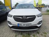 Opel Grandland X bei Gebrauchtwagen.expert - Abbildung (2 / 15)