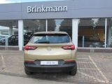 Opel Grandland X bei Gebrauchtwagen.expert - Abbildung (3 / 15)