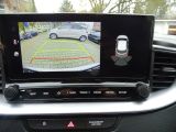Kia XCeed bei Gebrauchtwagen.expert - Abbildung (10 / 14)