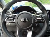 Kia XCeed bei Gebrauchtwagen.expert - Abbildung (9 / 13)