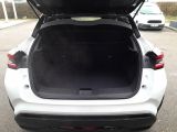 Nissan Juke bei Gebrauchtwagen.expert - Abbildung (10 / 15)
