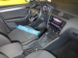 Skoda Octavia bei Gebrauchtwagen.expert - Abbildung (4 / 15)