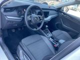Skoda Octavia bei Gebrauchtwagen.expert - Abbildung (3 / 10)
