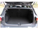 VW Golf VIII bei Gebrauchtwagen.expert - Abbildung (13 / 15)