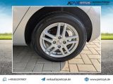 Ford Fiesta bei Gebrauchtwagen.expert - Abbildung (14 / 15)