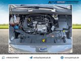 Ford C-MAX bei Gebrauchtwagen.expert - Abbildung (15 / 15)