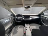Skoda Octavia bei Gebrauchtwagen.expert - Abbildung (12 / 15)