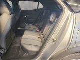 Peugeot 2008 bei Gebrauchtwagen.expert - Abbildung (8 / 15)