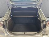 Peugeot 208 bei Gebrauchtwagen.expert - Abbildung (7 / 15)