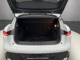 Renault Megane bei Gebrauchtwagen.expert - Abbildung (9 / 15)