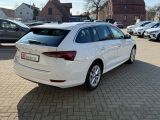 Skoda Octavia bei Gebrauchtwagen.expert - Abbildung (5 / 15) Skoda Octavia bei Gebrauchtwagen.expert - Abbildung (5 / 15)