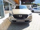 Mazda CX 5 bei Gebrauchtwagen.expert - Abbildung (4 / 15)