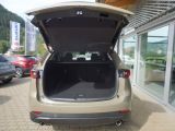 Mazda CX 5 bei Gebrauchtwagen.expert - Abbildung (10 / 15)
