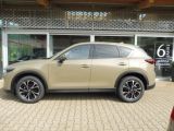 Mazda CX 5 bei Gebrauchtwagen.expert - Abbildung (12 / 15)