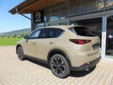 Mazda CX 5 bei Gebrauchtwagen.expert - Abbildung (5 / 15)