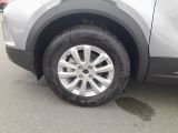 Opel Edition bei Gebrauchtwagen.expert - Abbildung (7 / 15)