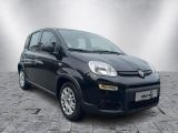Fiat Panda bei Gebrauchtwagen.expert - Abbildung (7 / 15)
