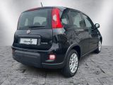 Fiat Panda bei Gebrauchtwagen.expert - Abbildung (5 / 15)