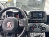 Fiat Panda bei Gebrauchtwagen.expert - Abbildung (10 / 15)