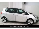 Opel Meriva bei Gebrauchtwagen.expert - Abbildung (6 / 15) Opel Meriva bei Gebrauchtwagen.expert - Abbildung (6 / 15)