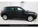 Skoda Kamiq bei Gebrauchtwagen.expert - Abbildung (6 / 15)