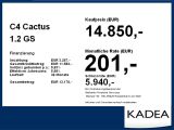 Citroen C4 Cactus bei Gebrauchtwagen.expert - Abbildung (4 / 15)