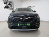 Opel Grandland X bei Gebrauchtwagen.expert - Abbildung (3 / 15)